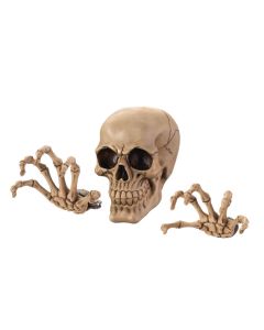 SKELETON WALL DECOR SET
